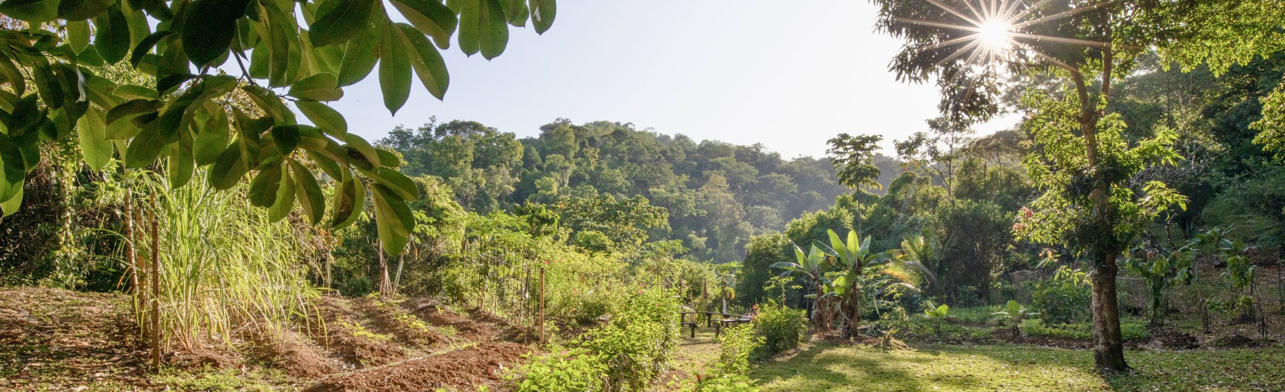 Whole Foods Luna Lodge Costa Rica