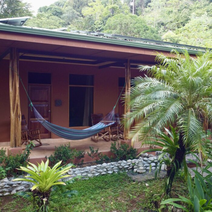 Rainforest Accommodation on th eOsa Peninsula