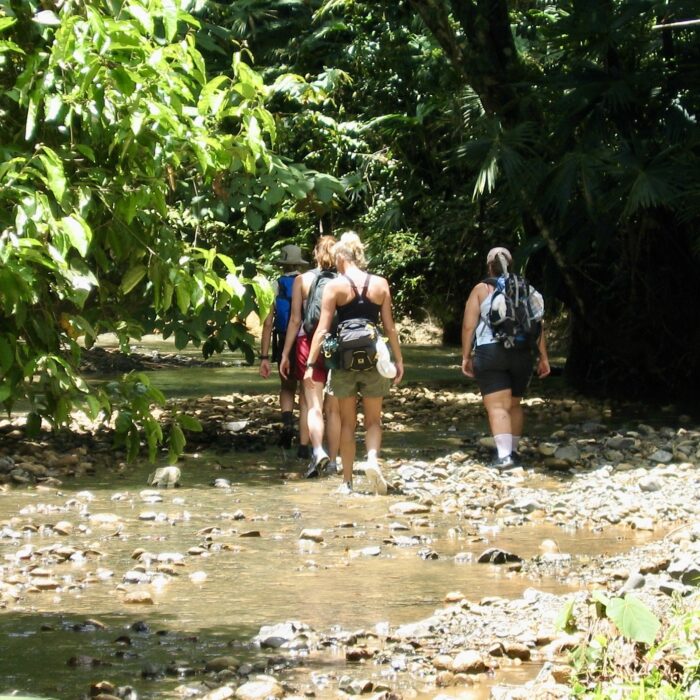 Hiking on the Osa Peninsula Guided Tours