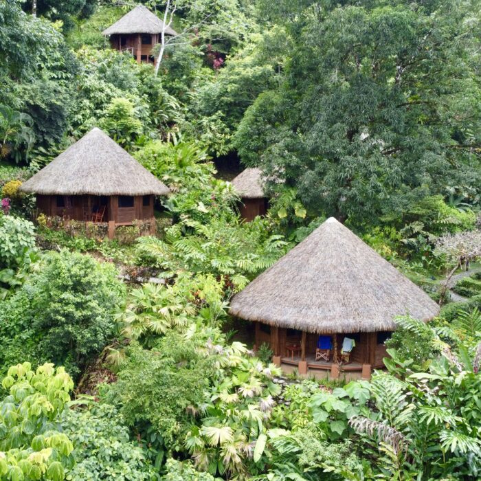 Luna Lodge Rainforest Accommodations on the Osa Peninsula