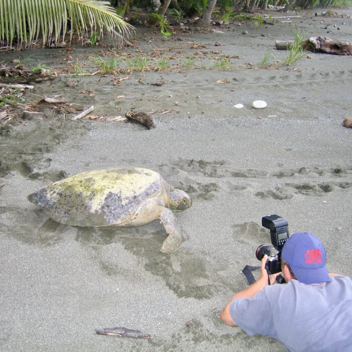 Costa Rica wildlife photography Guided Tours