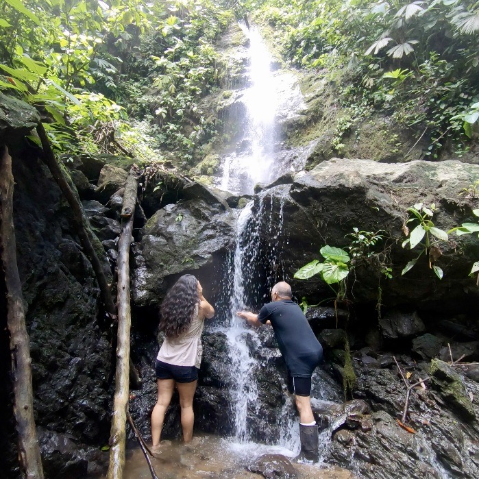 Waterfalls of the Osa Peninsula Guided Tours