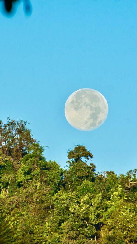 Full moon events Osa Peninsula