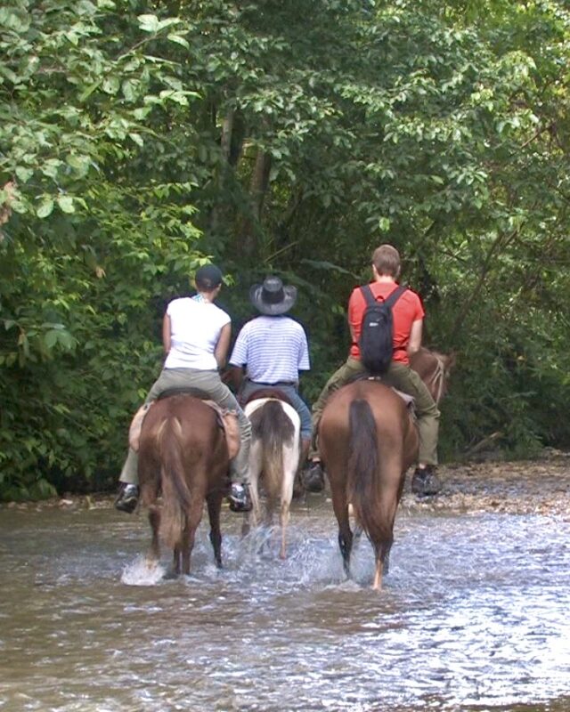 Osa Peninsula EcoTours