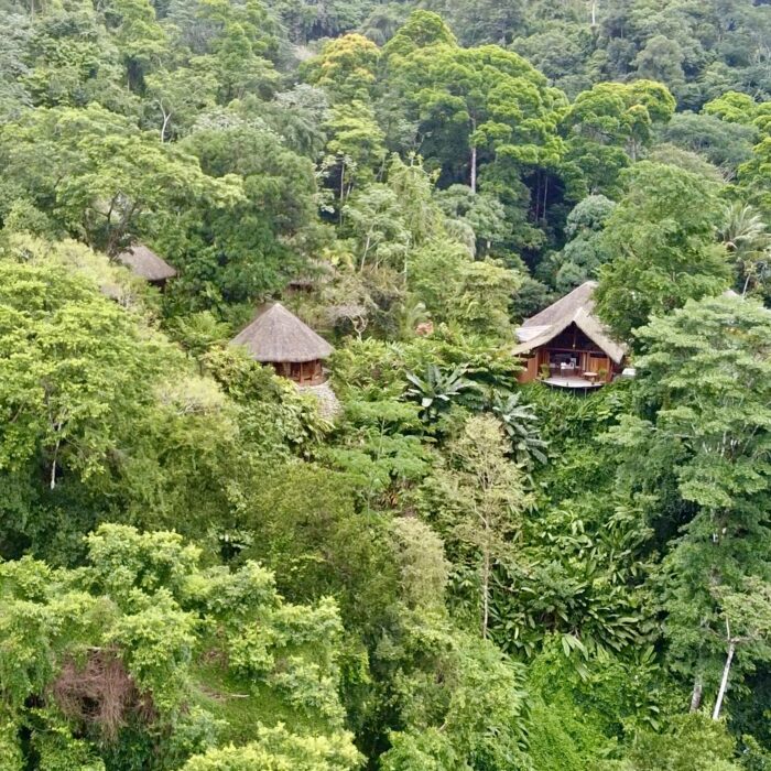 Costa Rica Rainforest Accommodation