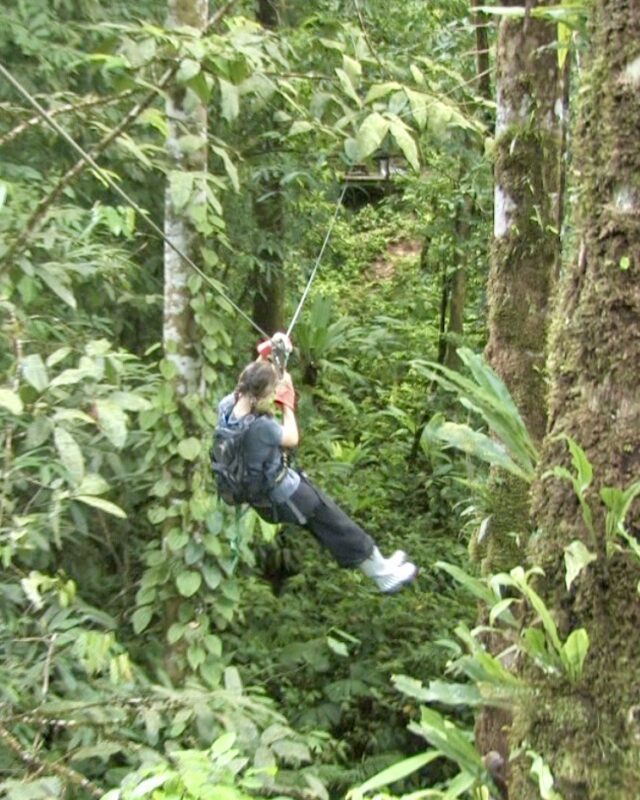 The Osa Peninsula Zipline Ecotours