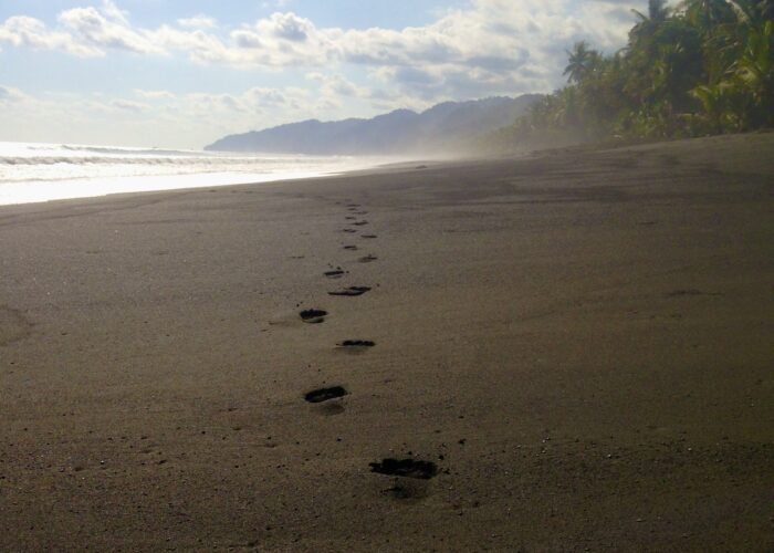 Beaches of the Osa Peninsula