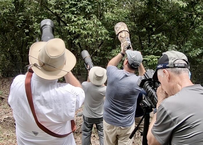 Osa Peninsula wildlife Photography