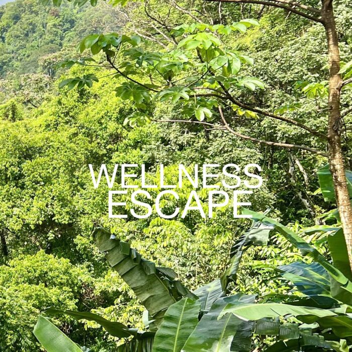 Osa Peninsula Wellness and Yoga Retreats